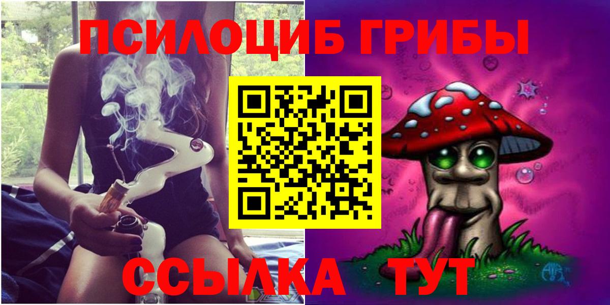 Астрахань  Галлюциногенные грибы Psilocybe  Вход с VPN 